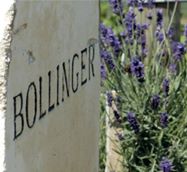 vert-de-vin-champagne-bollinger-certification-vignoble-durable-3